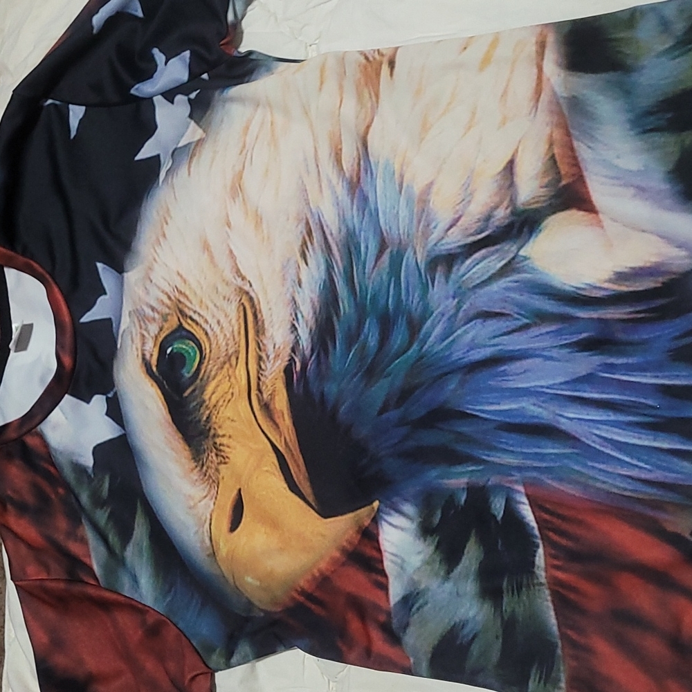 Bald eagle and American flag t-shirt